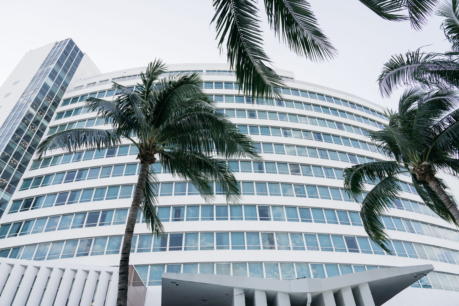 Fontainebleau Miami exterior and palms — photograph by Leslie Rodriguez